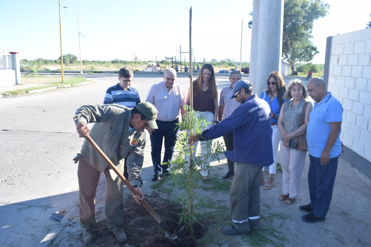 Conmemoración del día internacional de los bosques