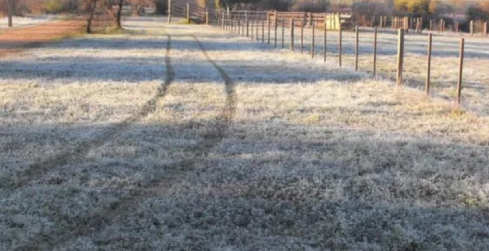 Alerta por frío extremo: Buenos Aires y otras tres provincias afectadas