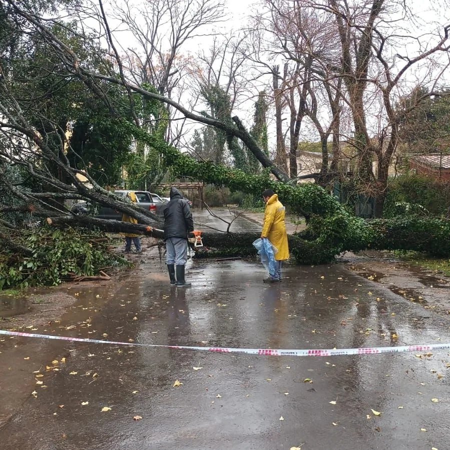 El municipio continúa trabajando por los efectos del temporal