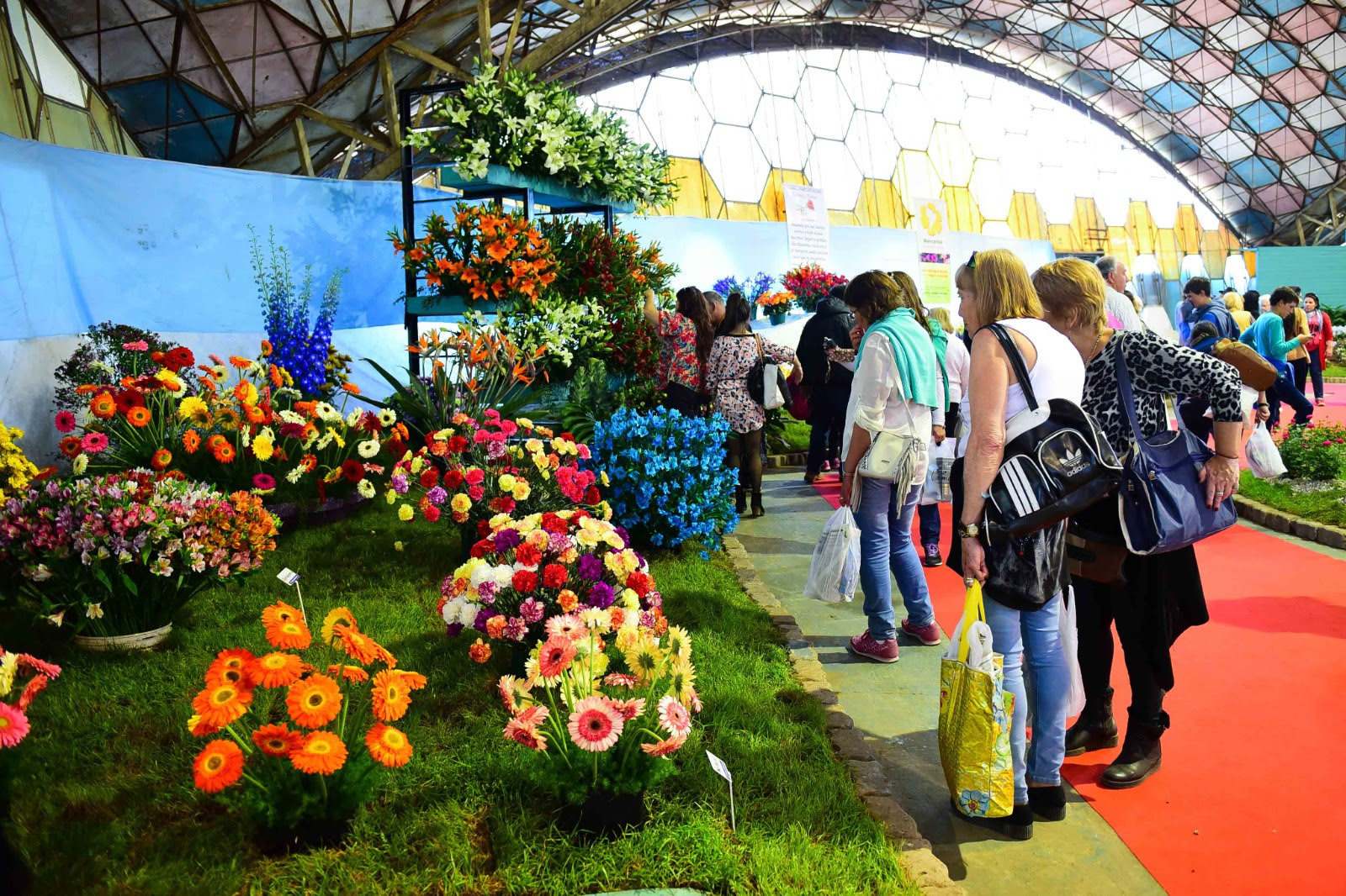 Se viene la Fiesta Nacional de la Flor