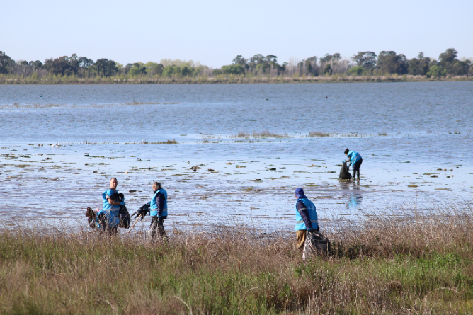 Nueva jornada de limpieza de la laguna
