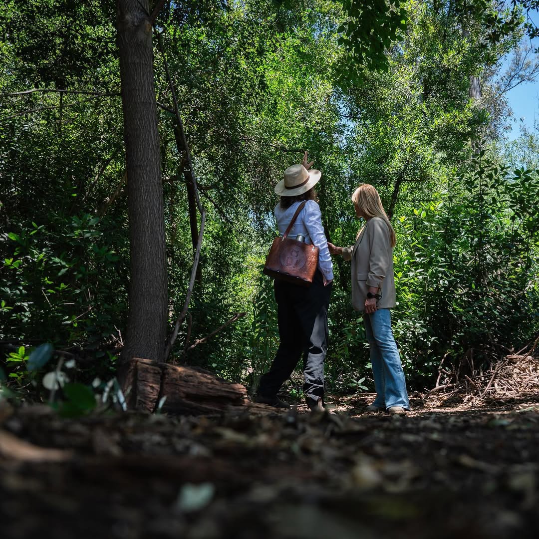 Se supervisó la obra del Parque Las Rosas, un nuevo espacio verde en la ciudad