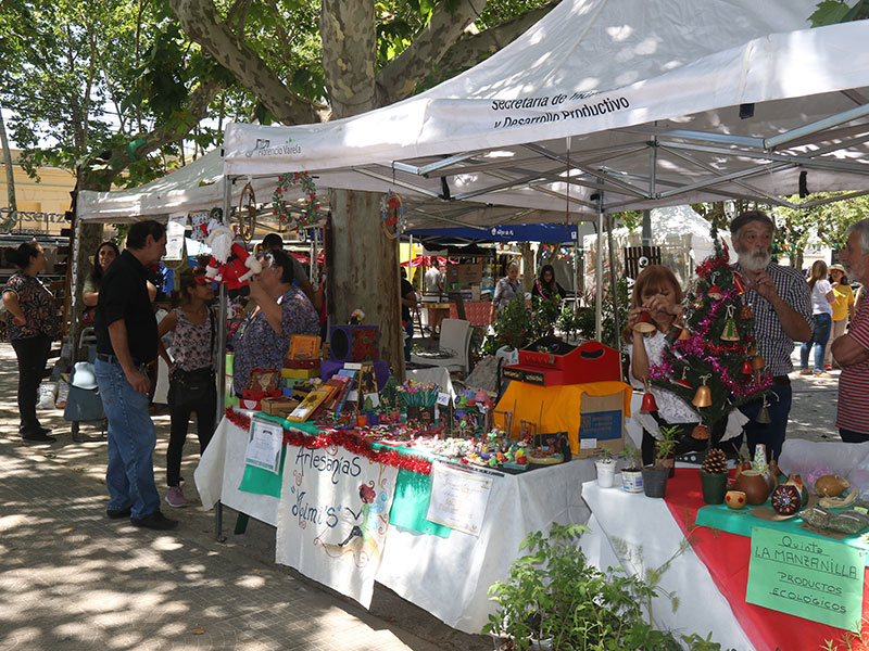 Acercate a disfrutar el Paseo Emprendedor Municipal