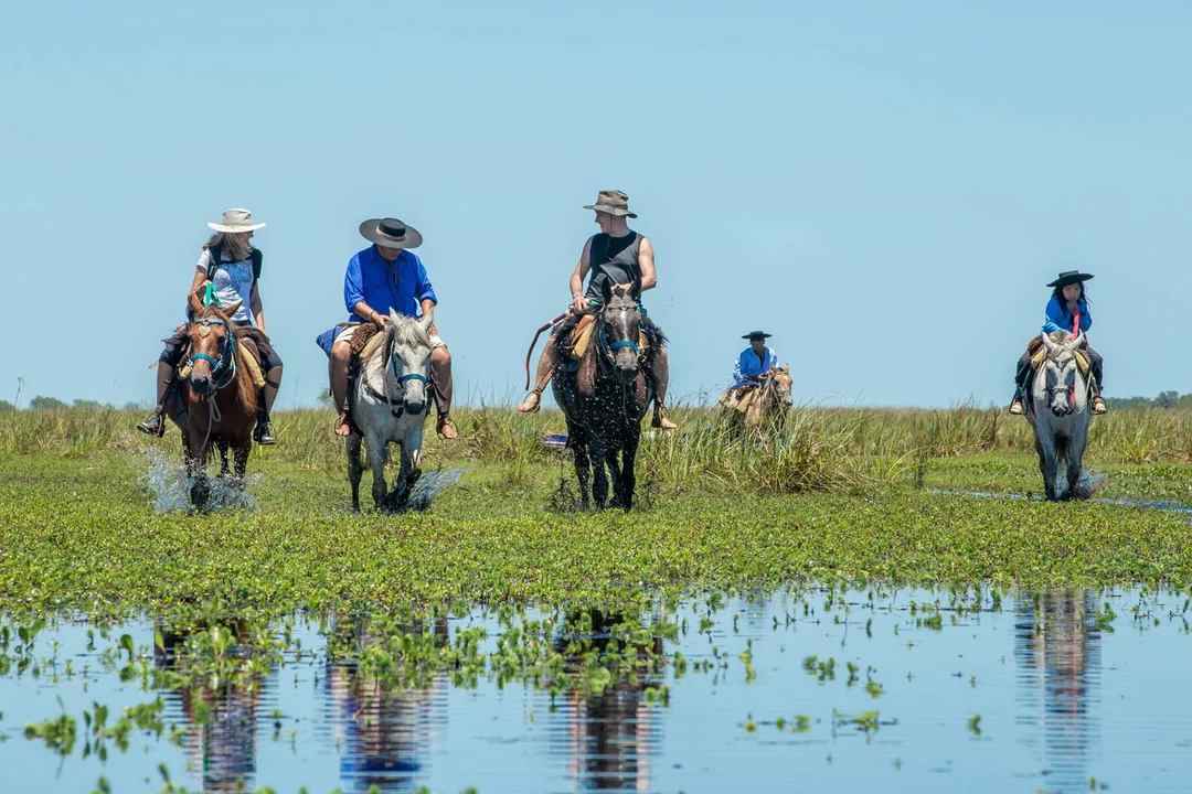 Cuál es y dónde queda el paraíso oculto de Argentina ideal para hacer safari fotográfico en una experiencia única