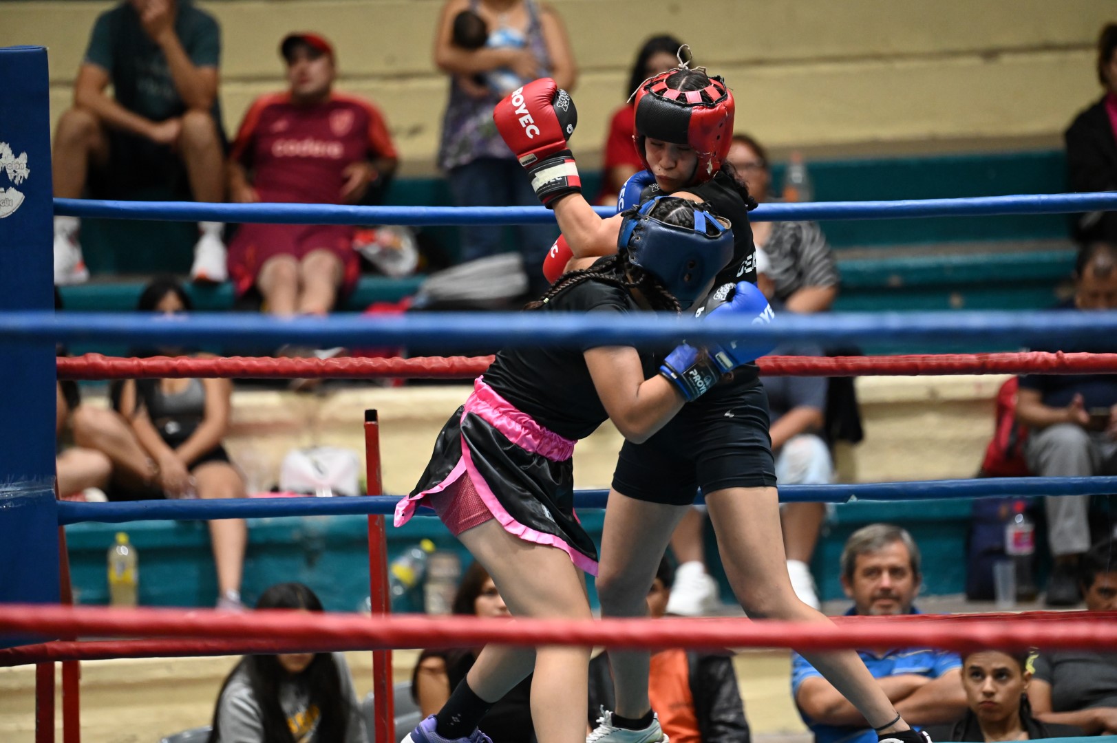 Festival de Boxeo: Una noche llena de emociones y grandes combates