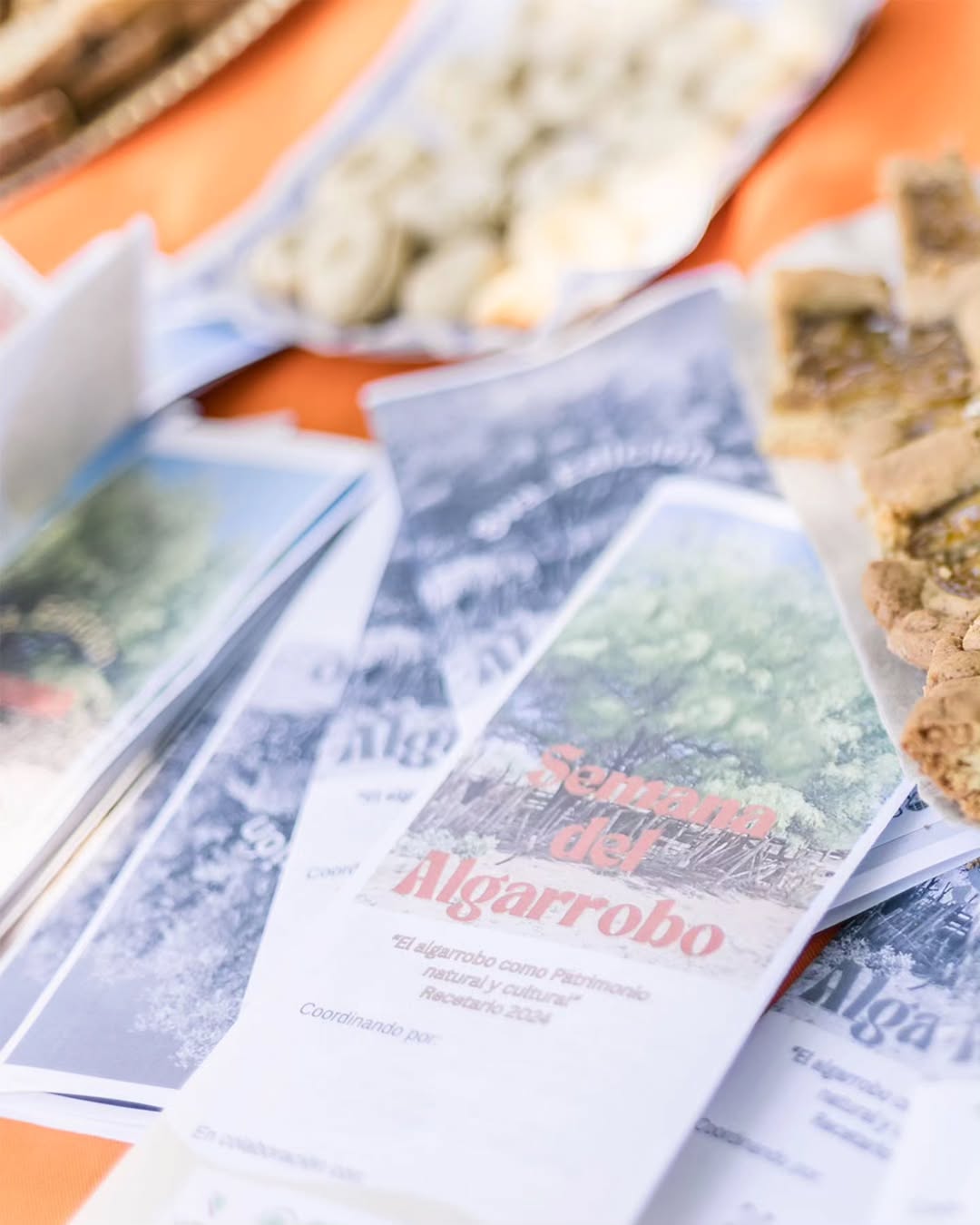 ¡Llega la IX Semana del Algarrobo!