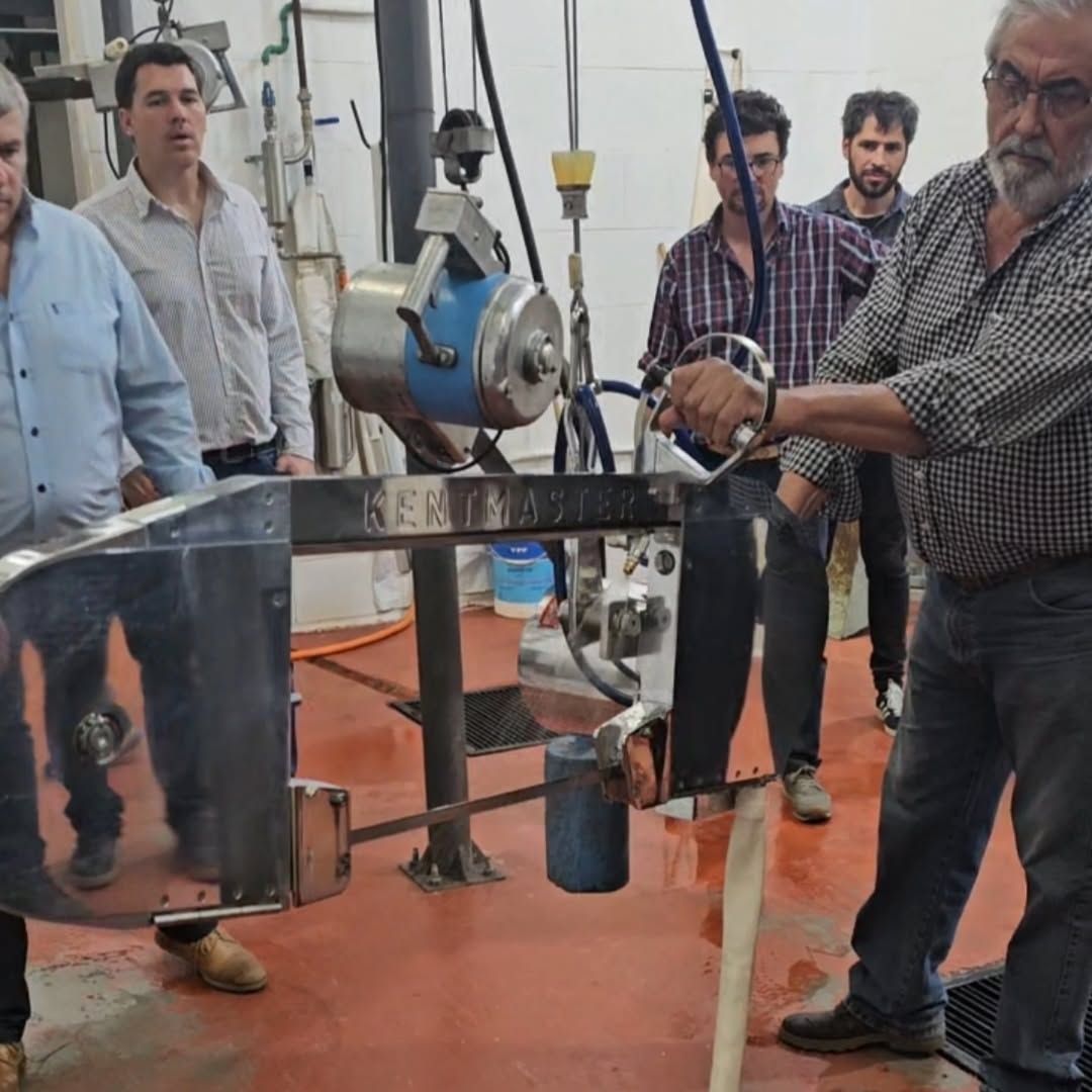 El Frigorífico Municipal suma nueva tecnología y alcanza la faena del cerdo N° 7600