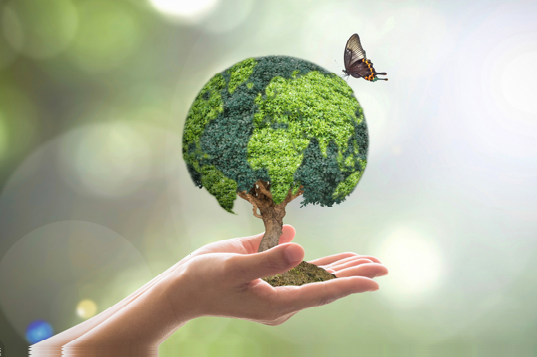 6 de Octubre: Día Mundial del Hábitat