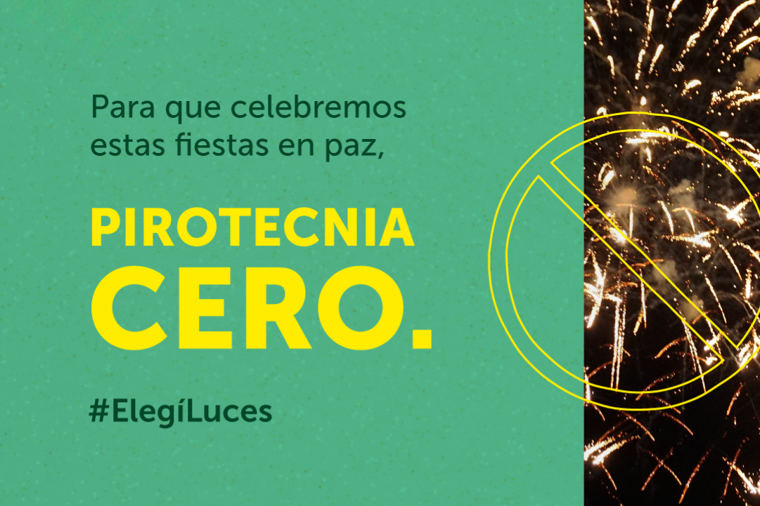 Elegí luces: en Ituzaingó, pirotecnia cero