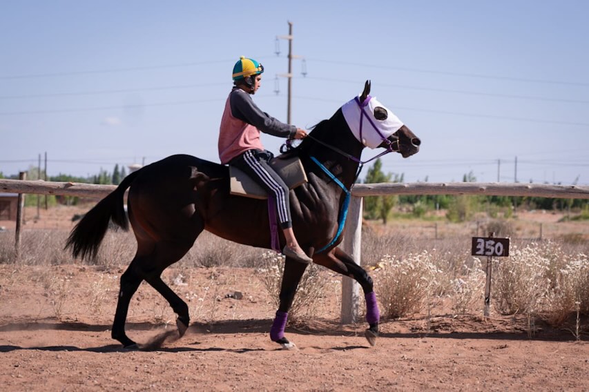 Vuelven las carreraas al Club Hípico Vento Sur