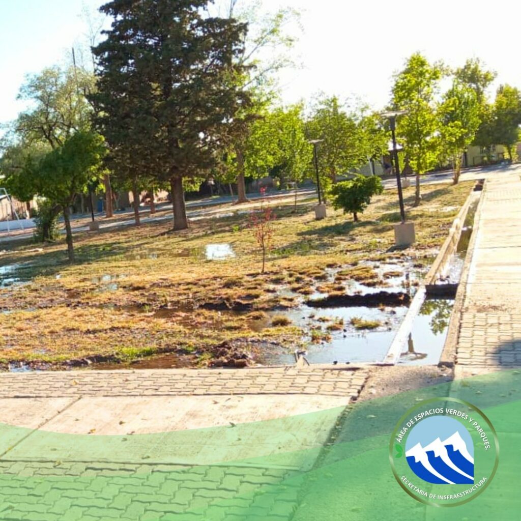 El Área de Espacios Verdes continúa los trabajos en Plaza Independencia