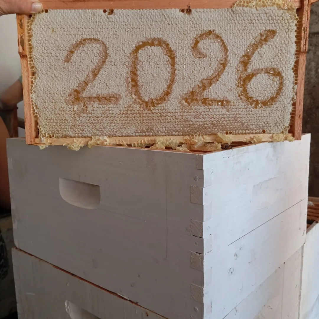 Primera cosecha del año de las apicultoras de Pila