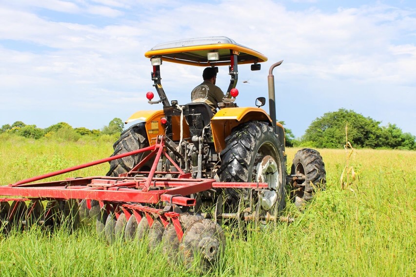 El Municipio aporta a la producción local