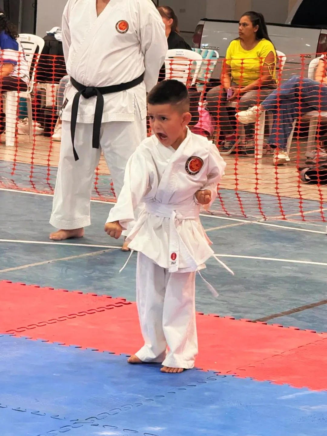 Villa Berthet fue sede de una fiesta del Karate