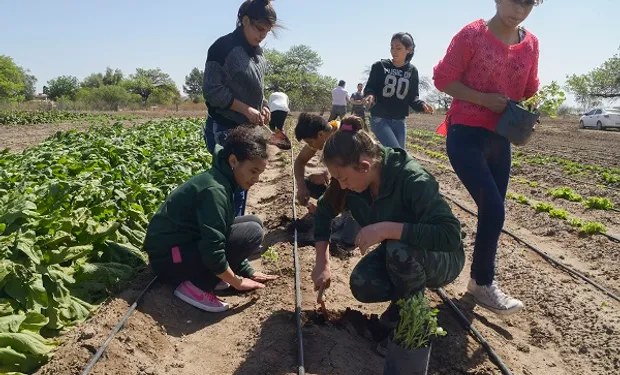 6 de agosto: Día Nacional de la Enseñanza Agropecuaria