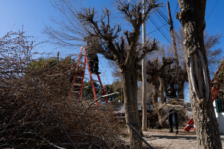 El Municipio continúa con el mantenimiento integral de espacios verdes en distintos sectores de la ciudad