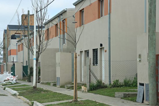 Ensenada continúa con el programa “El Árbol de mi Vereda”