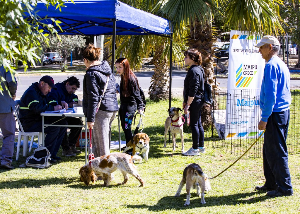 Maipú realizó más de 6.200 prestaciones veterinarias en los primeros meses de 2026
